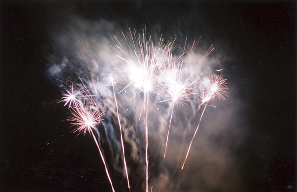 제7회백양단풍축제