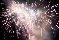 제7회백양단풍축제