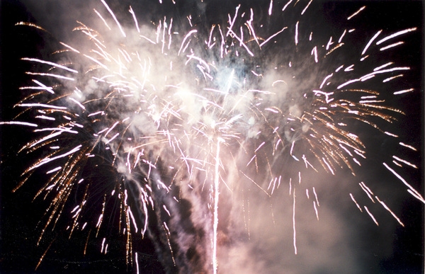 제7회백양단풍축제