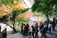 제7회백양단풍축제