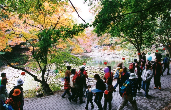 제7회백양단풍축제