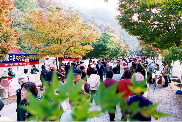제7회백양단풍축제