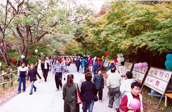 제7회백양단풍축제