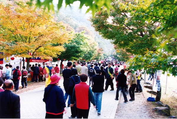 제7회백양단풍축제