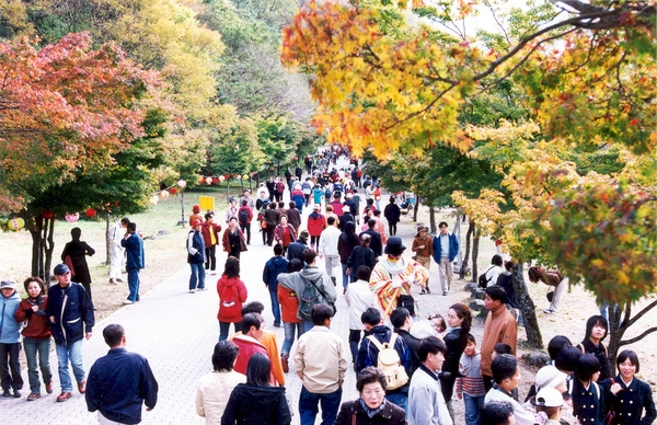 제7회백양단풍축제