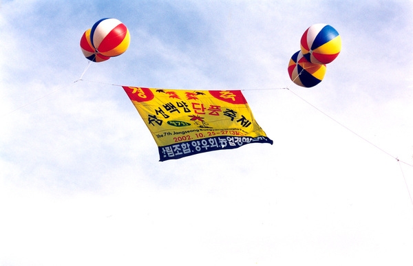 제7회백양단풍축제