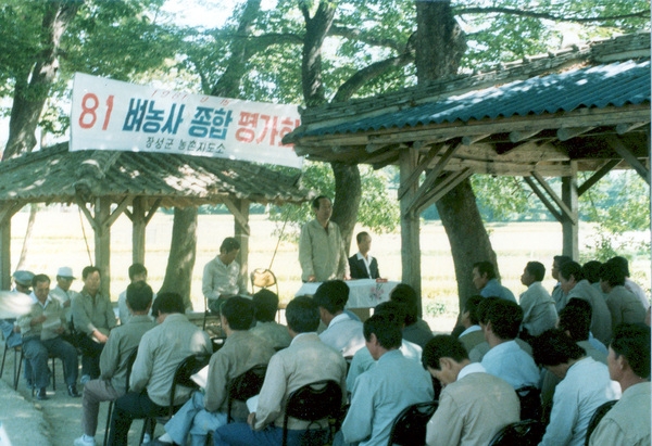 81벼농사 종합평가회