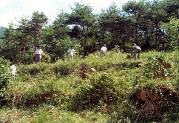퇴비증산