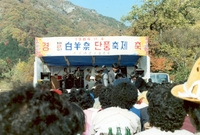 제2회백양제 단풍축제