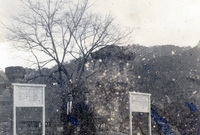 1960년대 백양사역