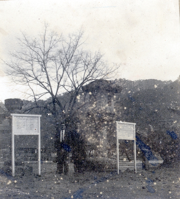 1960년대 백양사역