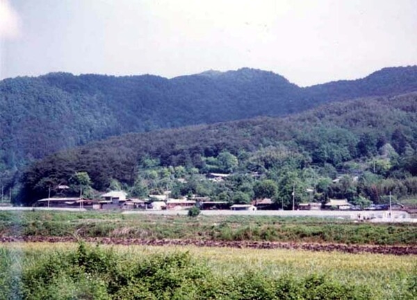 황룡관동마을전경