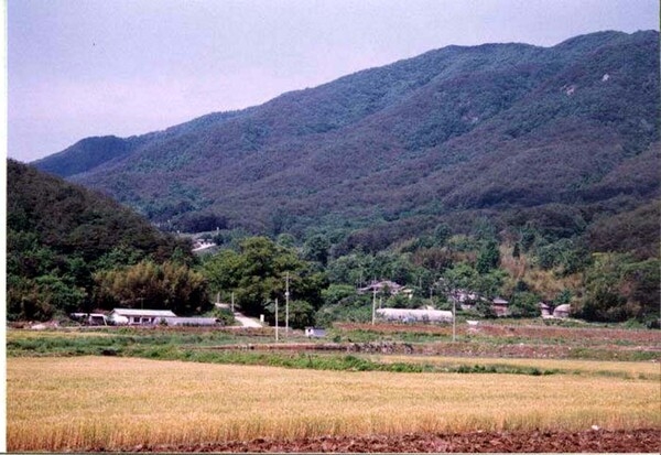 황룡면관동마을전경