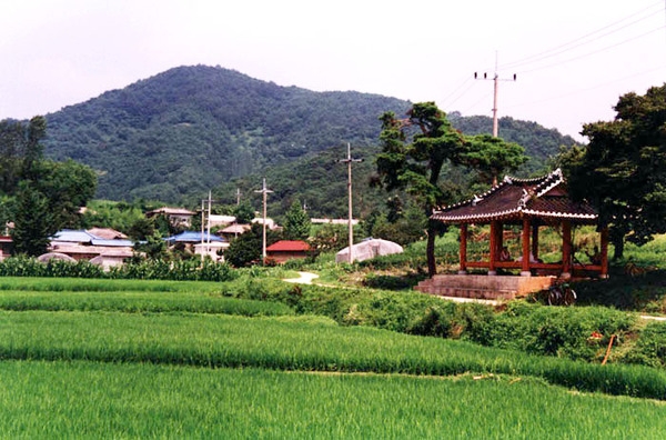 북이면 조양리 마을전경