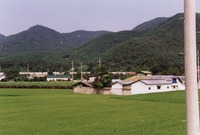 북이면 원덕리 마을전경