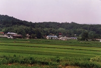 북이면 오월리 마을전경