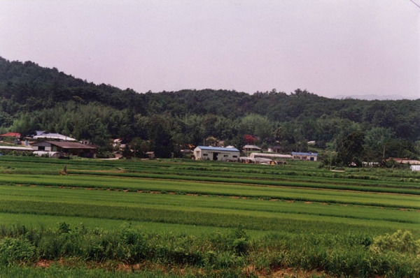 북이면 오월리 마을전경