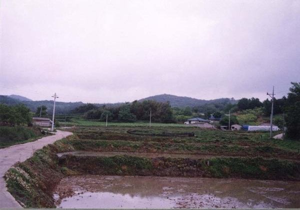 삼계면 능성리 마을전경