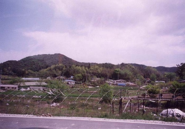 삼계면 상도리 마을전경