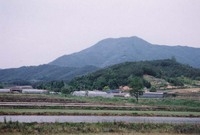 삼계면 신기리 마을전경