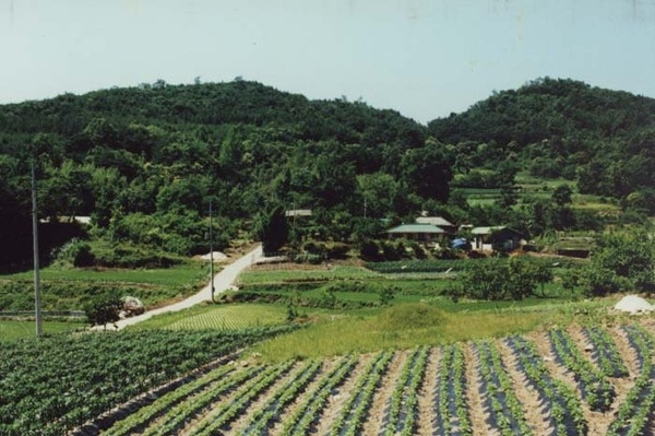 서삼면 추암리 마을전경