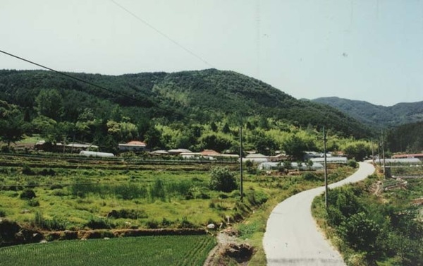 서삼면 추암리 마을전경