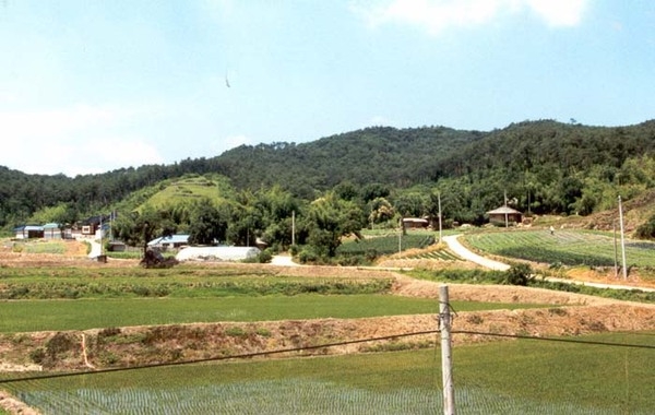 서삼면 장산리 마을전경