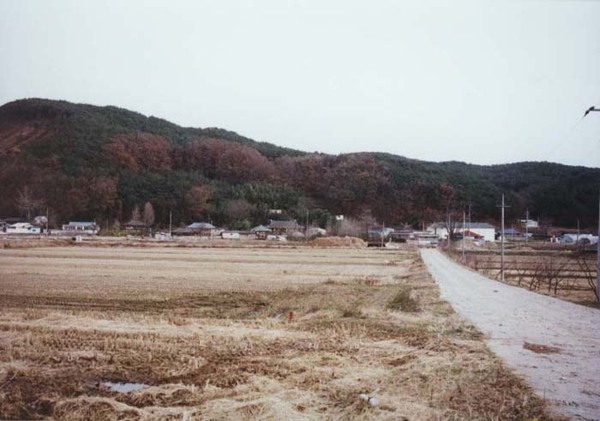 서삼면 장산리 마을전경