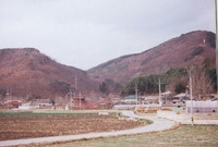 서삼면 장산리 마을전경