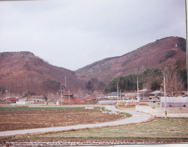 서삼면 장산리 마을전경