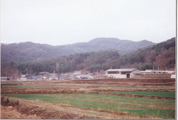 서삼면 장산리 마을전경