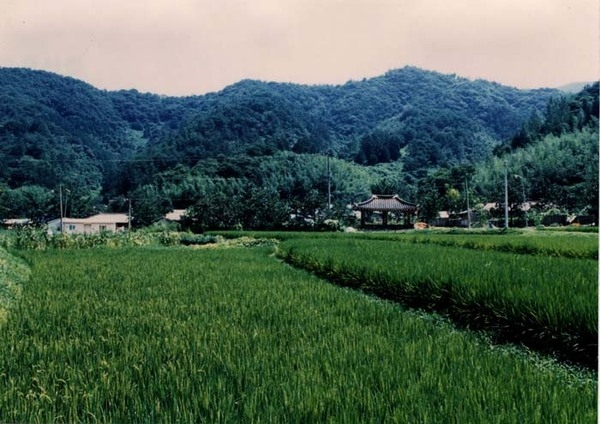 북하면 단전리 마을전경