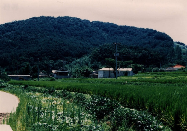 북하면 쌍웅리 마을전경