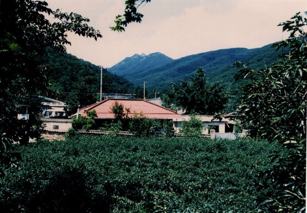 북하면 덕재리 마을전경