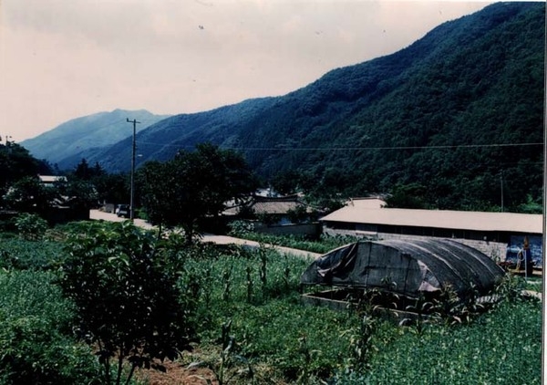 북하면 월성리 마을전경