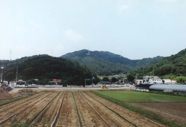 장성읍 단광리 마을전경