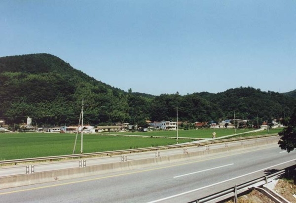 장성읍 백계리 마을전경