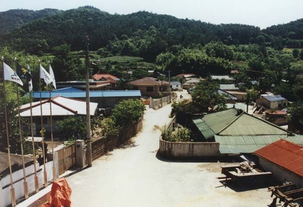 장성읍 안평리 마을전경