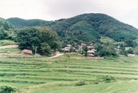 영화마을