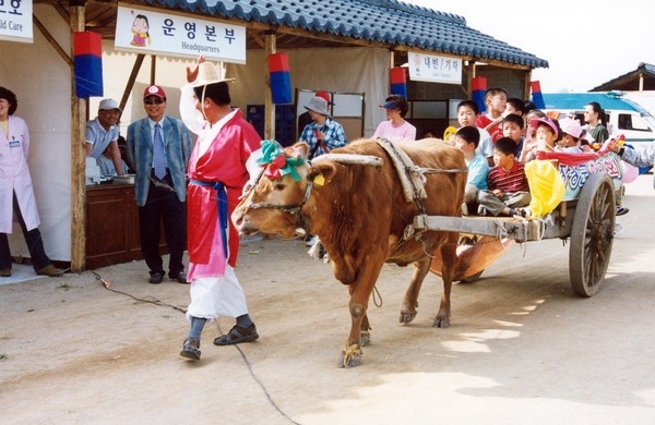제5회홍길동축제