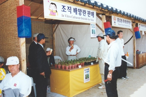 제5회홍길동축제