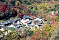 백양사