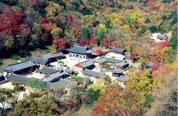 백양사