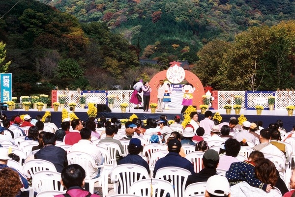 제8회백양단풍축제