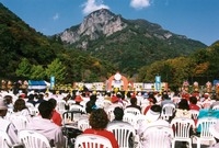 제8회백양단풍축제