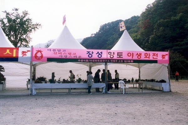 제8회백양단풍축제