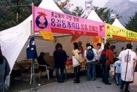 제8회백양단풍축제