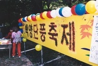 제8회백양단풍축제