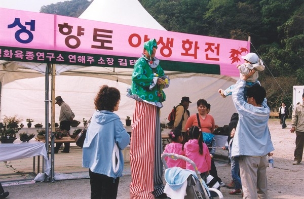 제8회백양단풍축제