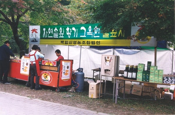 제8회백양단풍축제